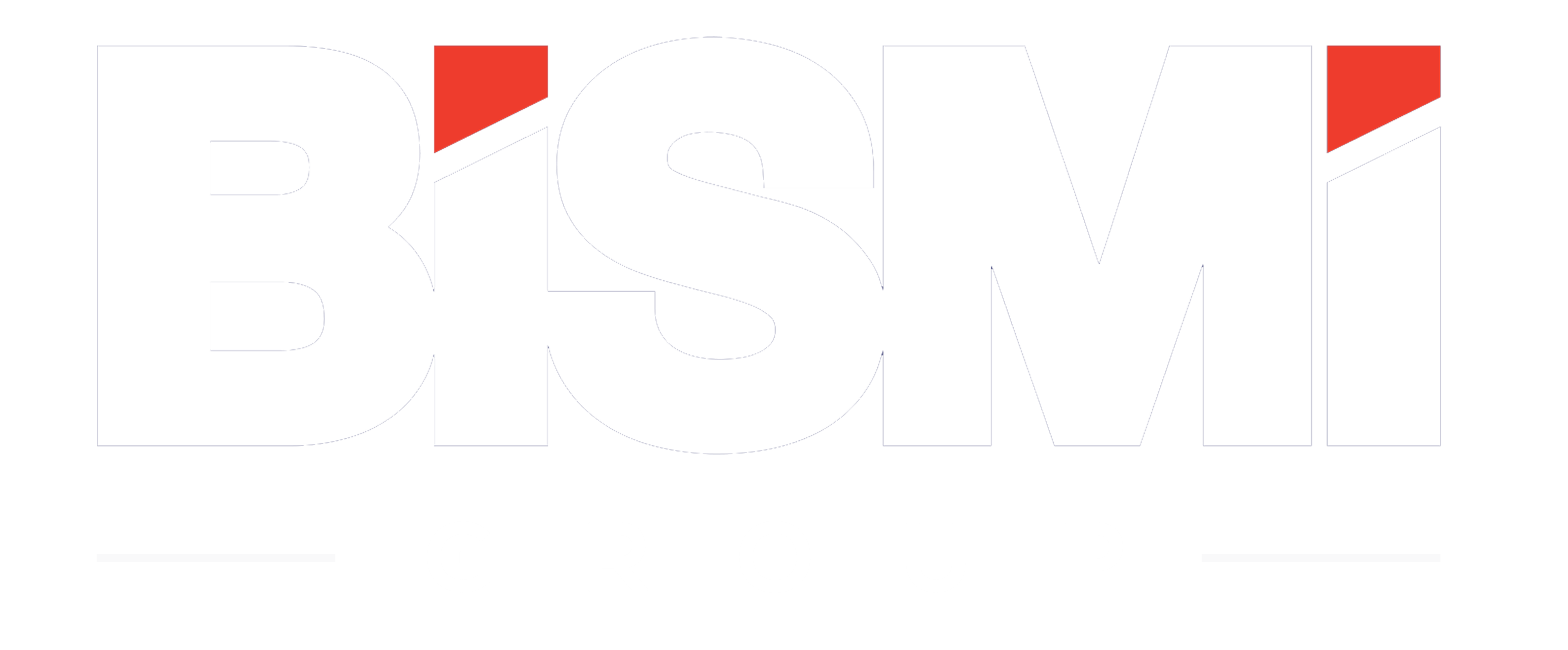 Bismi Group